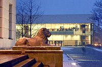 square of university, building with stone lions